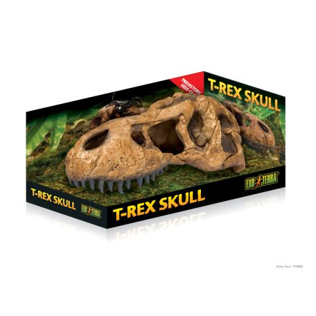 Exo terra T-Rex Skull | T-rex koponya - L-es