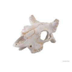 Exo terra Buffalo Skull | Bölény koponya - kicsi