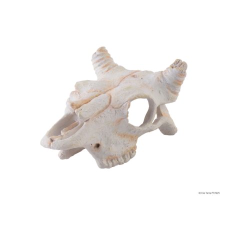 Exo terra Buffalo Skull | Bölény koponya - kicsi