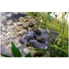 ExoTerra | Lebegő teknőssziget - Víziló forma