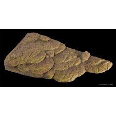 Exo Terra Turtle Bank | Mágneses teknős sziget - nagy
