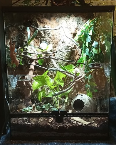 REPTO TERRA | SKY | Terrárium -  45X45X60 cm
